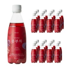 닥터리브 콤부차 오미자 탄산음료, 340ml, 24개