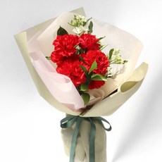 생화 플라워마켓 카네이션 꽃다발 S, 레드