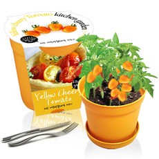 세경팜 컬러키친가든 텃밭가꾸기세트 옐로우, 노랑대추방울토마토