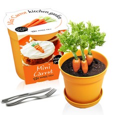 세경팜 컬러키친가든 텃밭가꾸기세트 옐로우, 미니당근