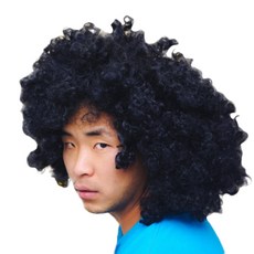 STUPID 派對扮裝用大爆炸頭假髮, 黑色的