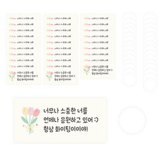 Dona&Deco 零用錢信封 + 貼紙組, 信封(084 Dami 非常珍貴的我永遠為你加油), 貼紙(透明), 30套