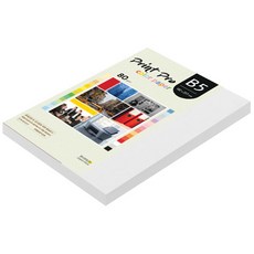 paperculture Print Pro 彩色影印紙 No 30 雪白色 80g, B5, 170個