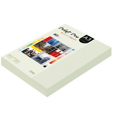 paperculture Print Pro 彩色影印紙 No 18 淺灰色 80g, A3, 250個