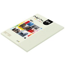 paperculture Print Pro 彩色影印紙 No 18 淺灰色 80g, B4, 85個