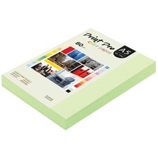paperculture Print Pro 彩色影印紙 No 13 翡翠綠 80g, A5, 250個