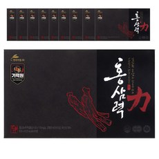 현대약품 기력원 홍삼력 건강음료, 100개, 100ml