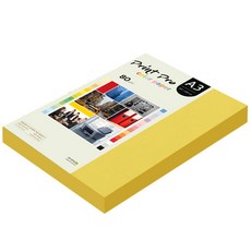 紙文化印刷Pro彩色複印紙 No.06 深黃色 80g, A3, 250張