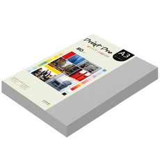 종이문화 프린트 프로 칼라복사지 No.31 그레이 80g, A3, 250개