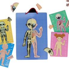 Gabe家族磁鐵人體拼圖 KS2687, 1套, 90個