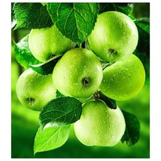 ZEZENEW 風水招財青蘋果寶石十字繡DIY套組 B1224, 混合色