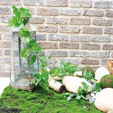 Garden in the City 皮膚藤園藝用品, 混色