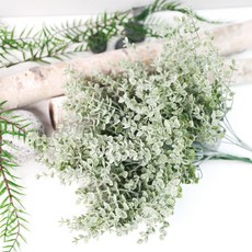 Garden in the City 迷你尤加利樹叢 園藝用品, 混合色, 3個