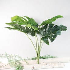 Garden in the City 龜背芋葉子 園藝用品, 混合顏色, 1個