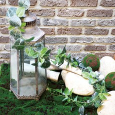 Garden in the City Whitonia 藤蔓園藝用品, 混色, 1個