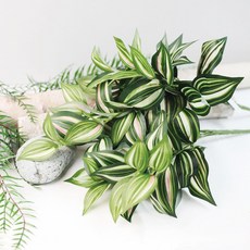 Garden in the City Dalgae Bush 園藝用品, 混色, 2個