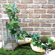 Garden in the City 常春藤藤園藝用品, 混色, 1個