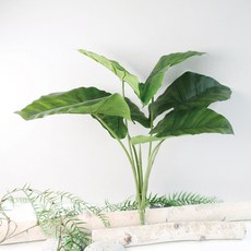 Garden in the City 芋頭葉園藝用品, 混合色, 1個