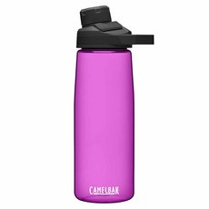 CAMELBAK Chute Mag攜帶式水壺, 750ml, Lupine