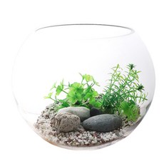 魚缸造景組 6500ml, 透明