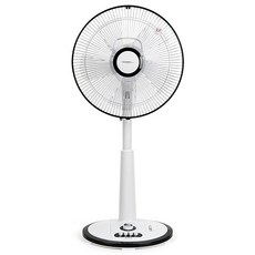 Daewoong 大熊製藥 質感立式電風扇 35cm, DWF-RF3950