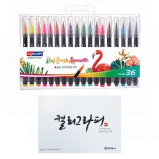 Skyglory 水溶性彩色軟頭筆 36色 + 東亞書法練習本 60p, 1套