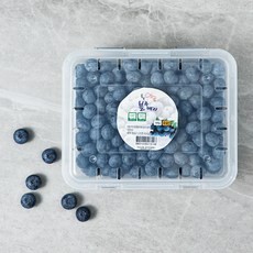 무농약 인증 영동 블루베리, 500g, 1팩