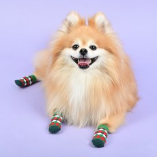 올치 강아지 할리퀸 미끄럼 소음 방지 관절 보호 양말 4p x 2세트, 그린