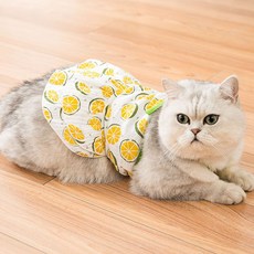 寵物款夏季水果圖案連身裙, 檸檬