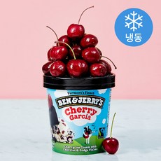 벤앤제리스 체리가르시아 아이스크림 (냉동), 473ml, 1개입, 1개