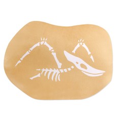 nooritoys Dinosaur 恐龍化石線墊 4, 混色