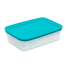 Tupperware Ice Smart 冷藏容器 藍色 1L 397-1, 1件, 1個