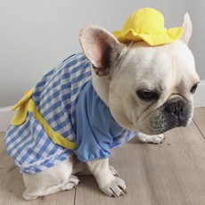 I Love Pet 寵物小雞幼稚園制服 + 帽子套組, 藍色 + 黃色, 1個