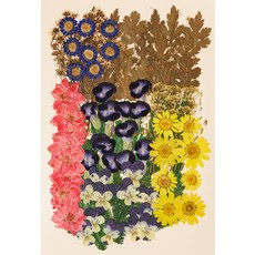 押花裝飾組, 混色