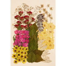 寫信的日子 壓花組合 1332, 花園多色