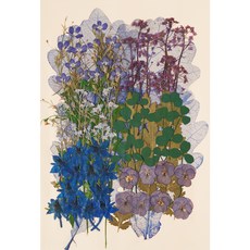 寫信的日子 壓花組合 1324, 藍色