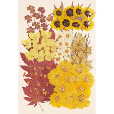 寫信的日子 壓花組合 1328, 永恆色彩