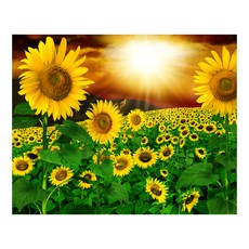 케이엠엘리 3D 노을빛해바라기 보석십자수 40 x 50 cm, 혼합색상, 1개