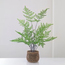 블루밍앤미 펀 트리 조화나무 소 + 네츄럴 아바카 바구니 대, 그린(조화나무), 1세트