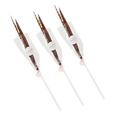 MOMOJERI 貓野雞玩具釣魚竿, 混色, 3個