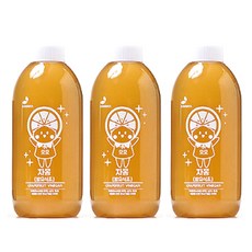 Rico Food青蘋果水果發酵醋 葡萄柚, 300毫升, 3個