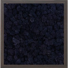스칸디아모스 액자 프라모 WALNUT 프레임 클래식 블루, 1개