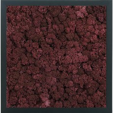 스칸디아모스 액자 프라모 BLACK 프레임 버건디, 1개
