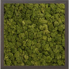 스칸디아모스 액자 프라모 WALNUT 프레임 미디엄 그린, 1개