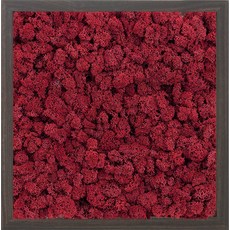 스칸디아모스 액자 프라모 WALNUT 프레임 크림슨, 1개