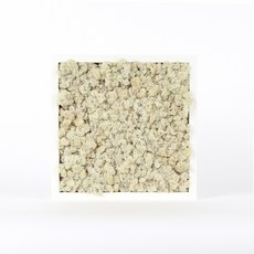 스칸디아모스 액자 프라모 White 프레임_네츄럴, 1개