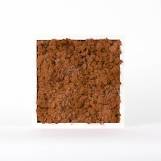 스칸디아모스 액자 프라모 White 프레임_망고, 1개