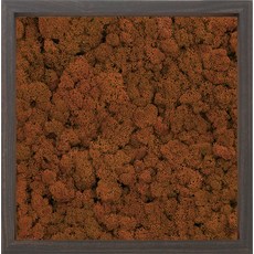스칸디아모스 액자 프라모 WALNUT 프레임 망고, 1개