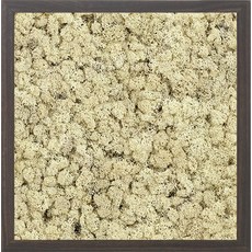 스칸디아모스 액자 프라모 WALNUT 프레임 네츄럴, 1개