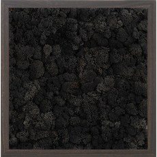 스칸디아모스 액자 프라모 WALNUT 프레임 블랙, 1개